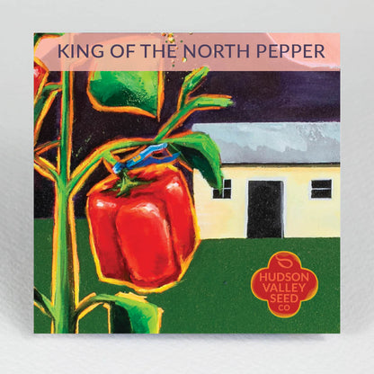 King of the North Pepper