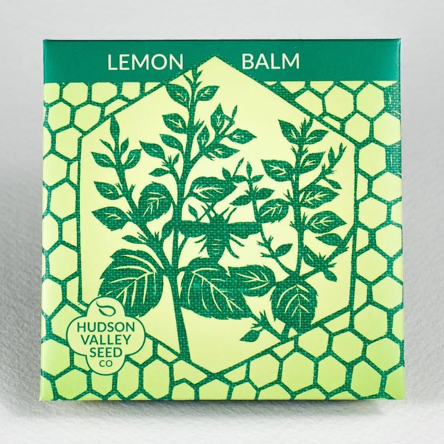 Lemon herbs… Lemon verbena and Lemon balm – the melodious garden