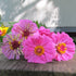 Luminosa Zinnia vendor-unknown