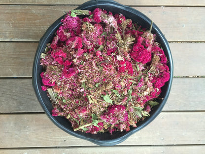 Mammoth Magenta Celosia vendor-unknown