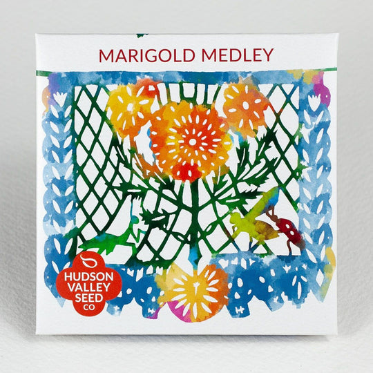 Marigold Medley vendor-unknown