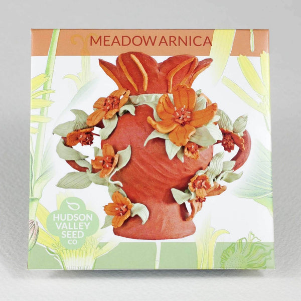 Meadow Arnica Organic Seeds