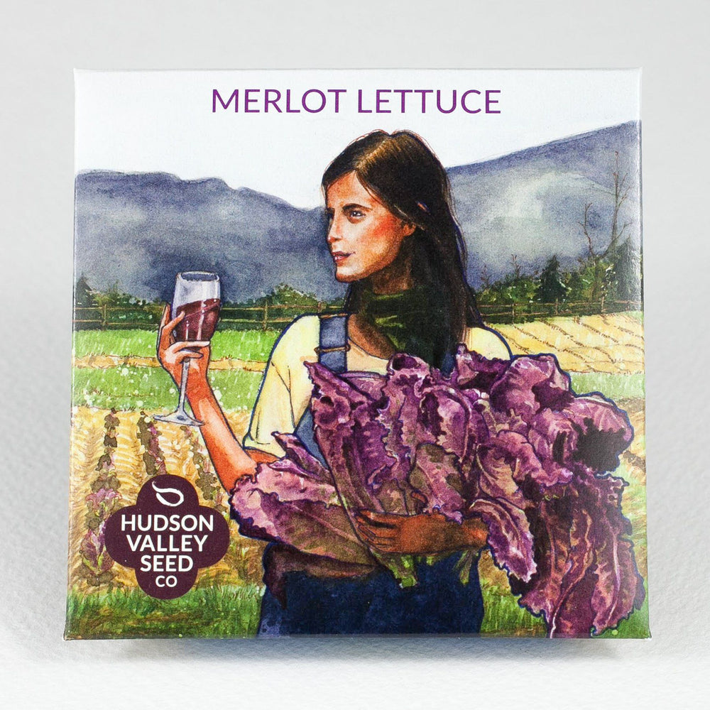 Merlot Lettuce