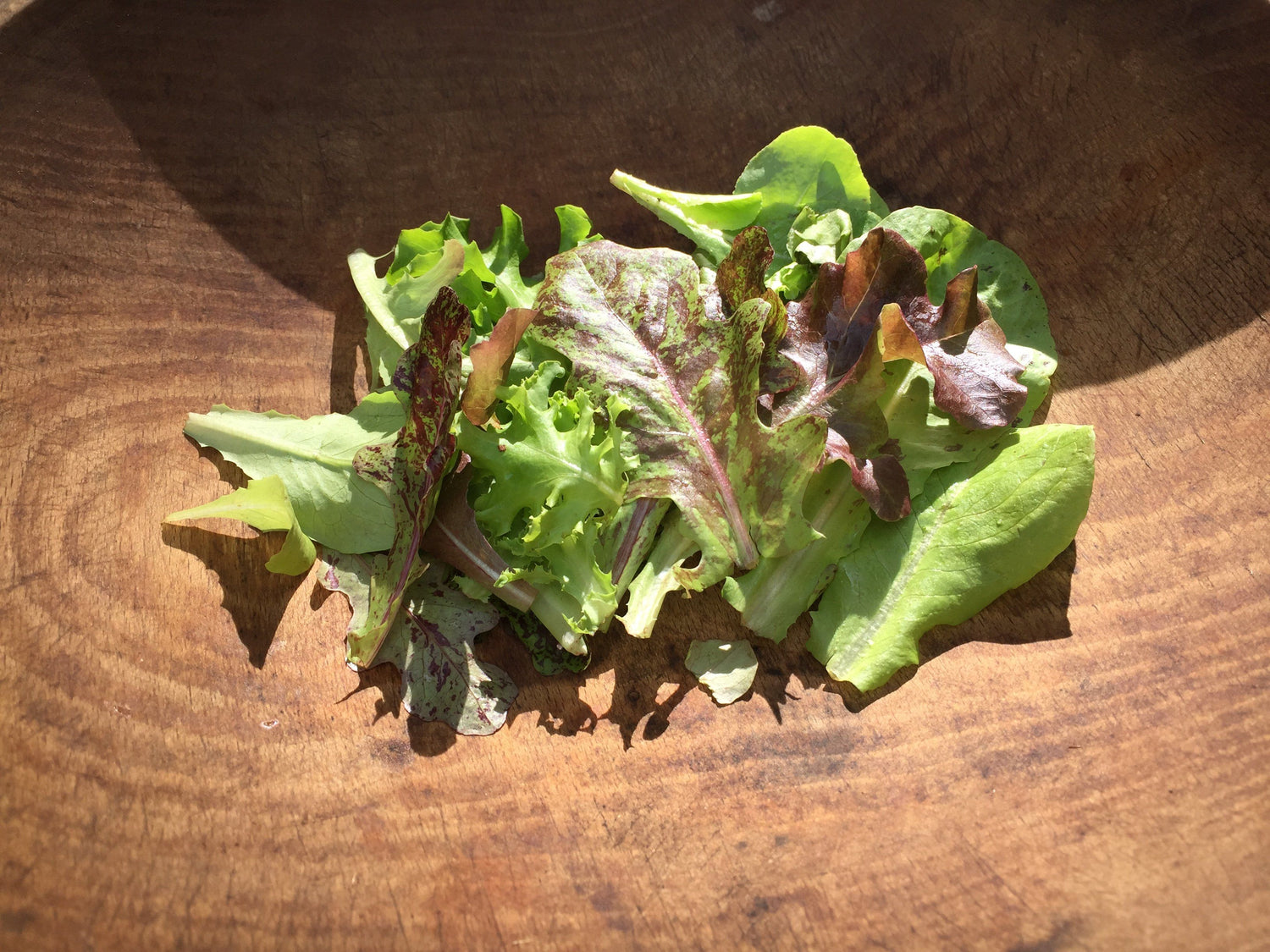 Metta Lettuce Mix vendor-unknown