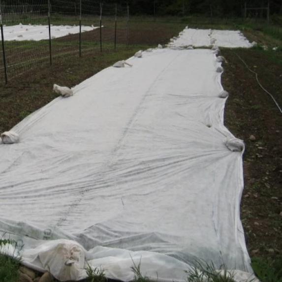 Mid-Weight Dewitt Row Cover Cut to Length - 7 Foot Width (83&quot;) vendor-unknown