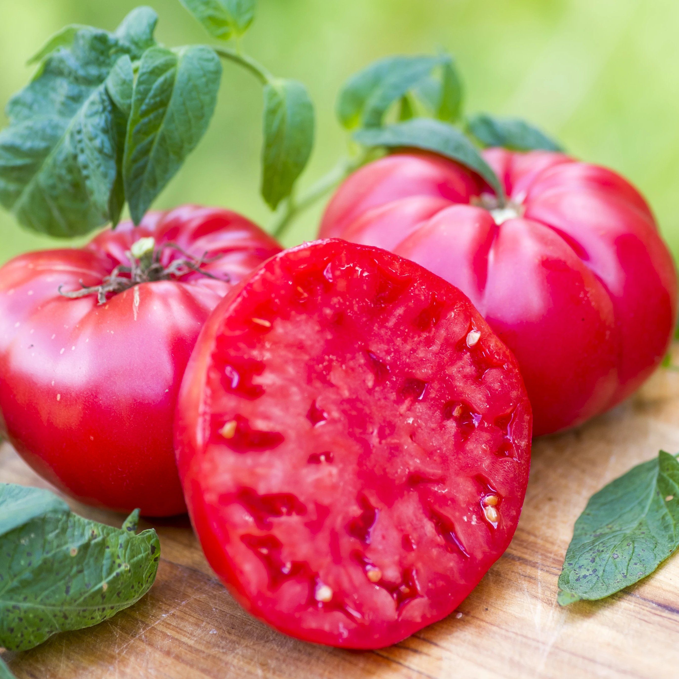 Organic Tomato Seeds - Brandywine Pink, Vegetable Seeds in Packets & Bulk
