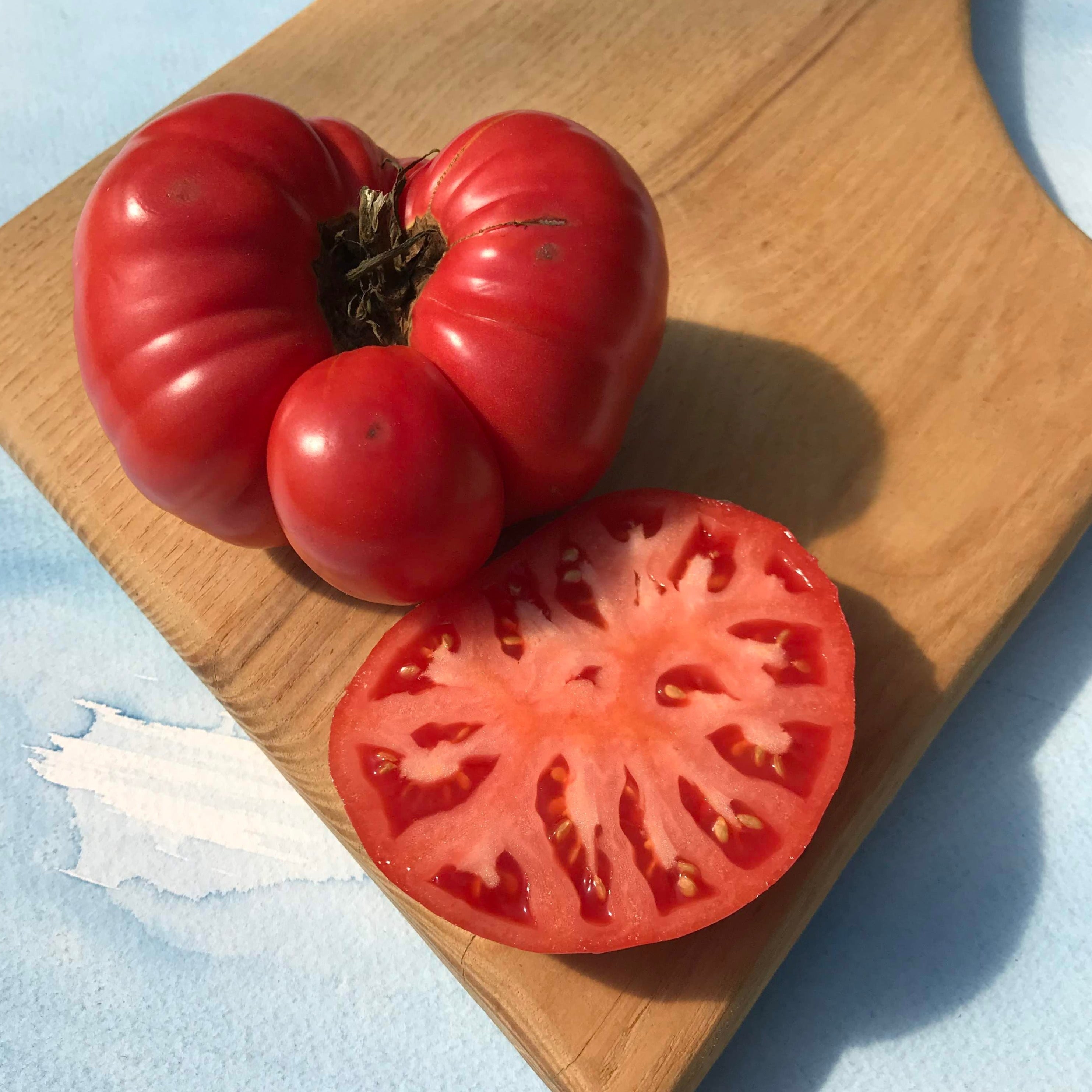 Martian Giant Slicer Heirloom Certified-Organic Tomato Seed