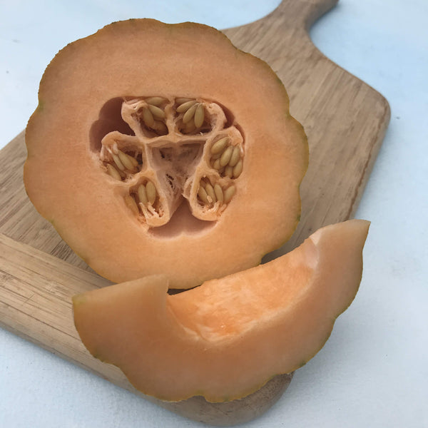 Minnesota Mini Melon | Hudson Valley Seed Company