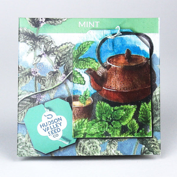 holder for home plant in pot Flower pot holder, plant stand, wall planter, plant pot holder, home plants, window guard, window grille, Mothers Day, gift for mom, grandma