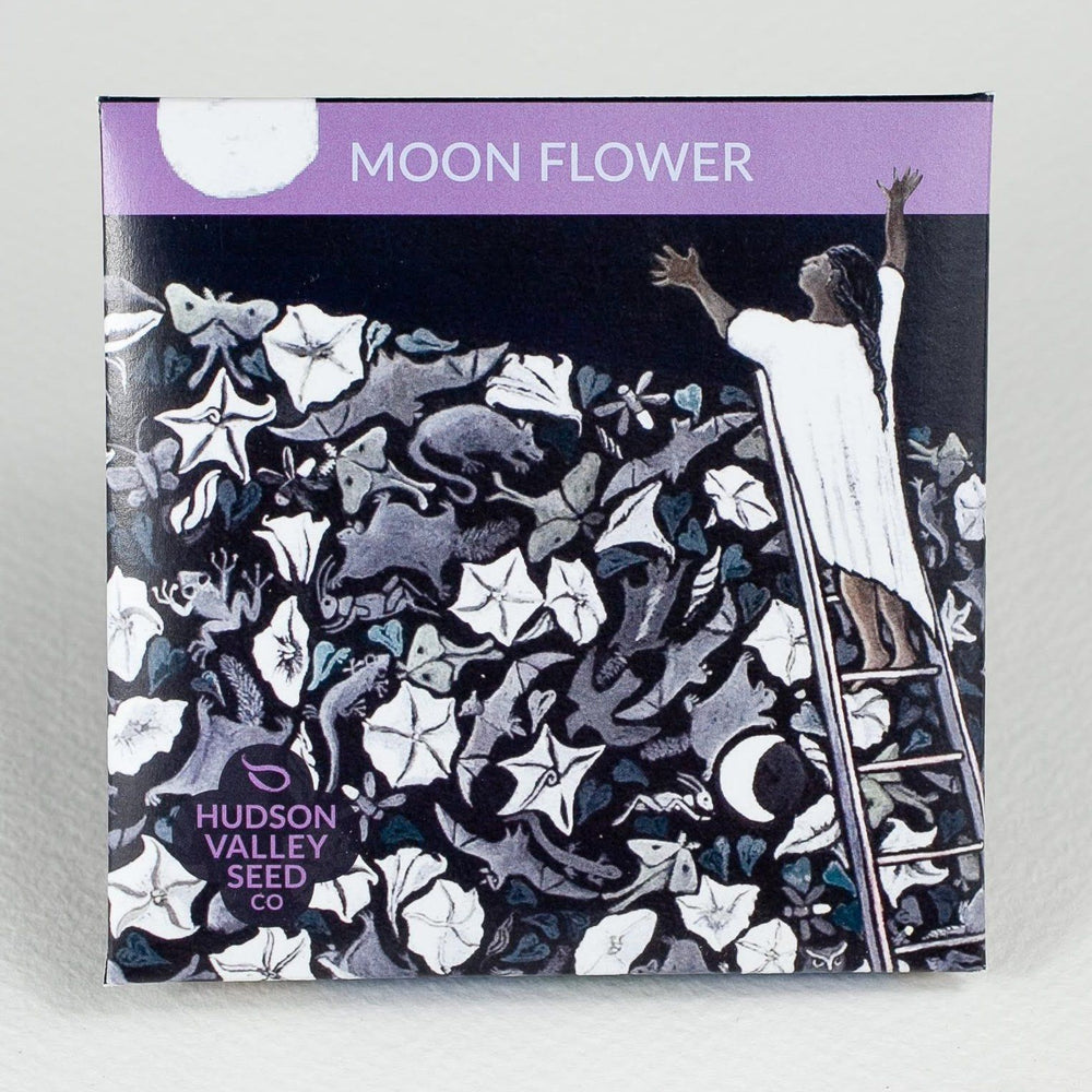 Moon Flower vendor-unknown
