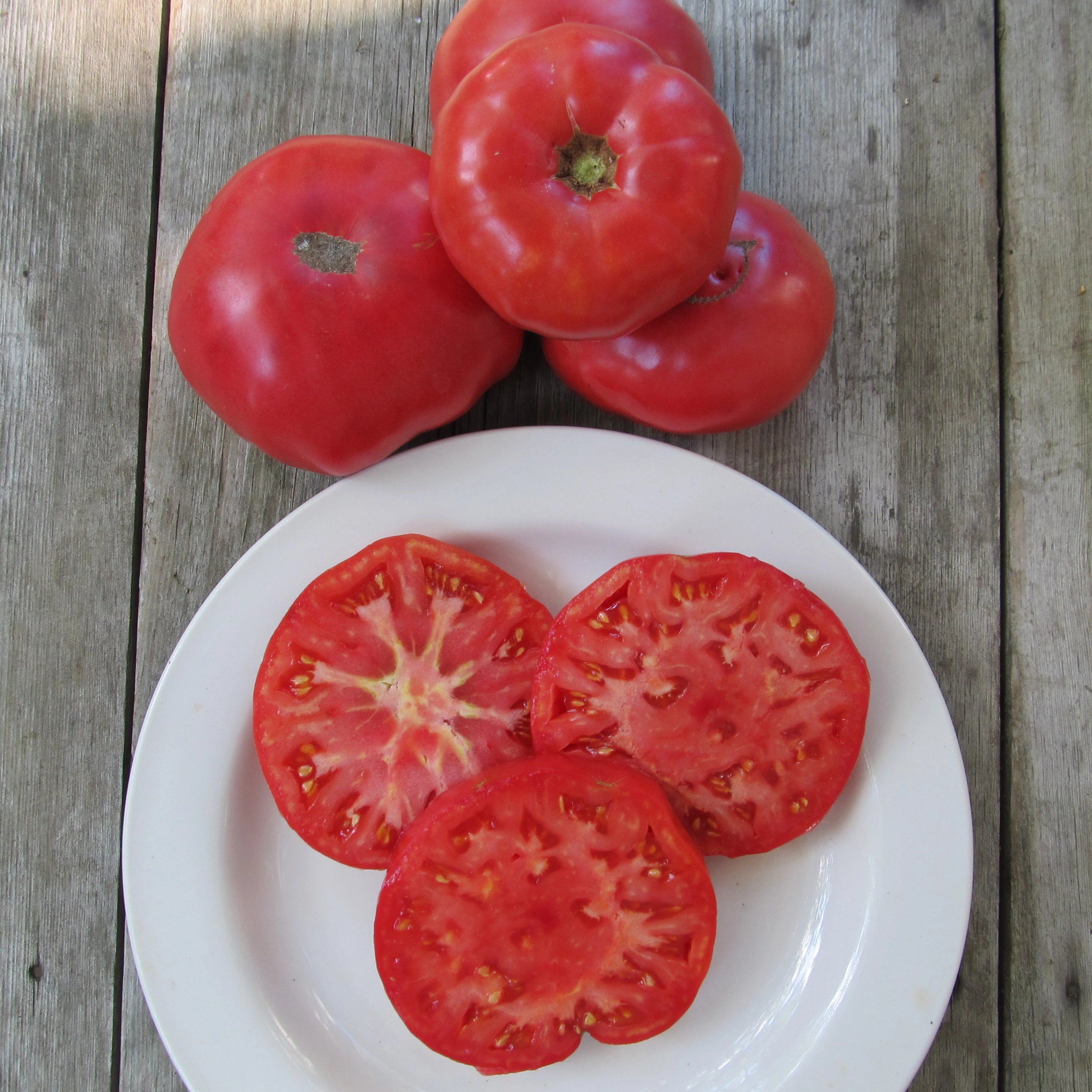 Mortgage Lifter Tomato Organic Seeds – Hudson Valley Seed Company
