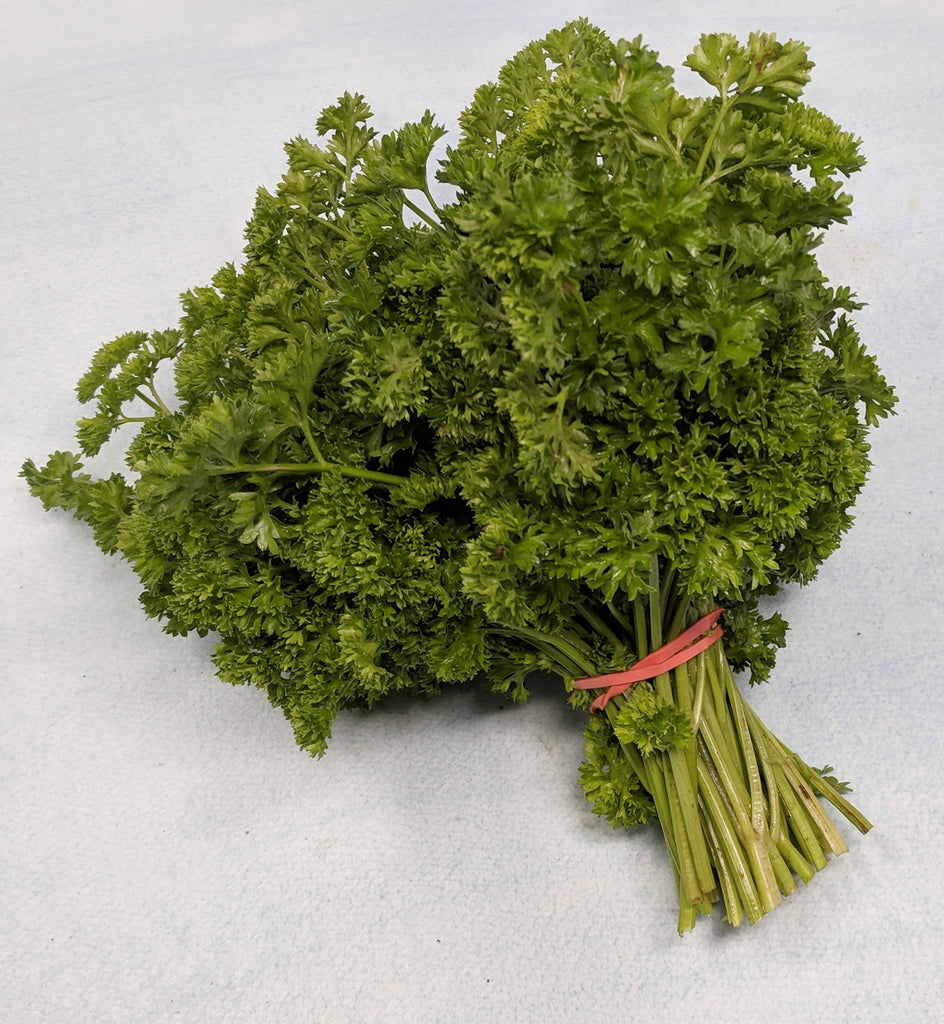 Moss Curled Parsley Organic Seeds Hudson Valley Seed Company