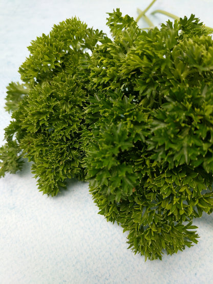 Moss Curled Parsley vendor-unknown