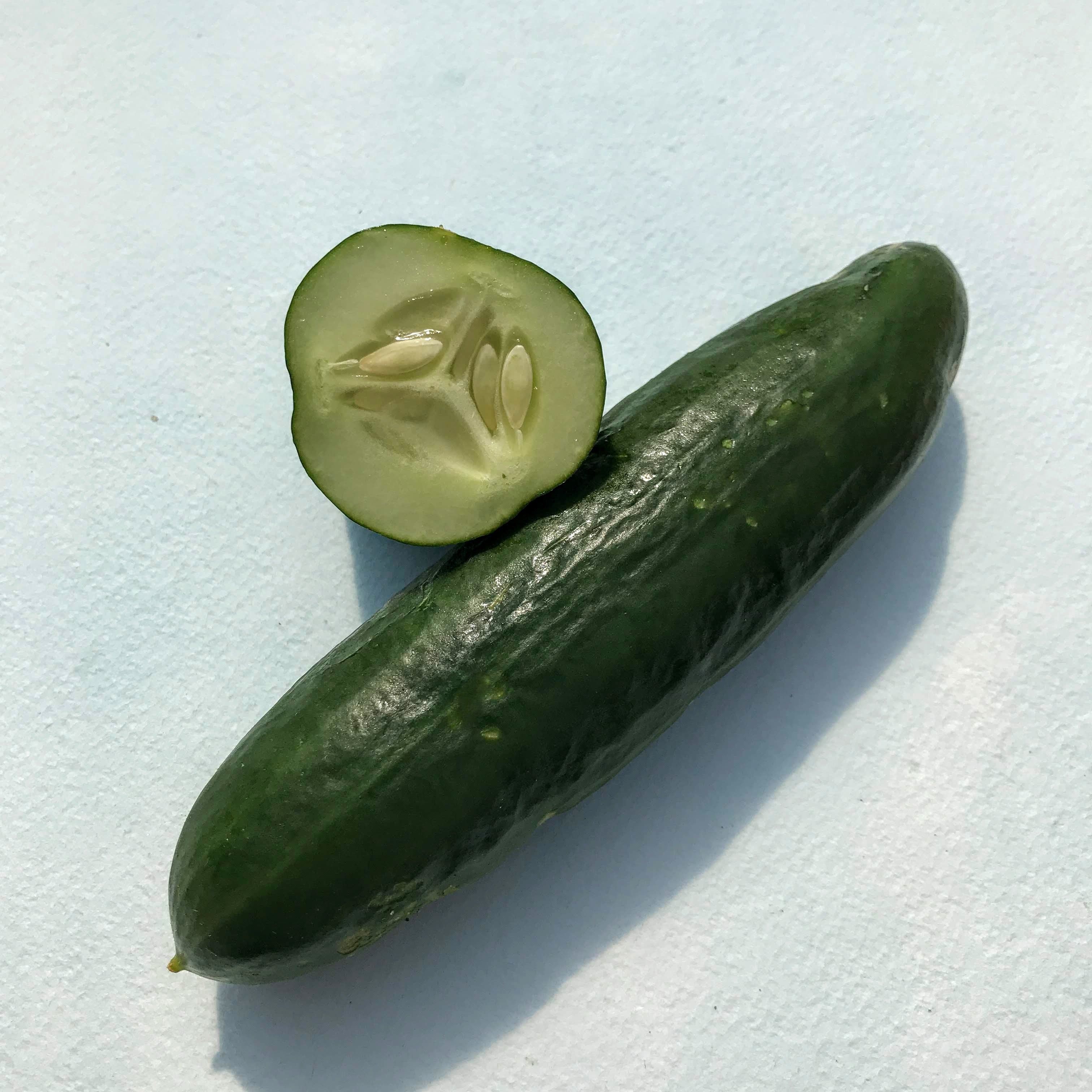 Cucumber Varieties and How to Use Them