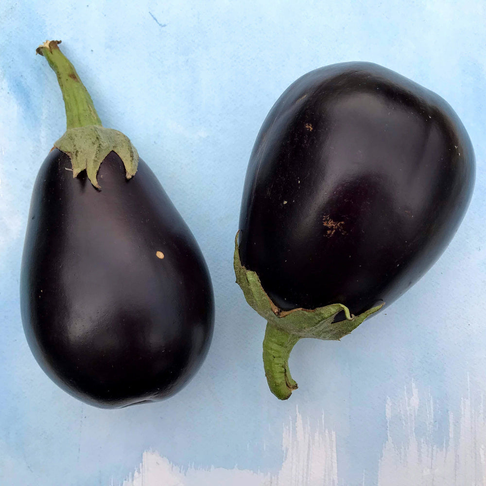 New York Improved Eggplant vendor-unknown