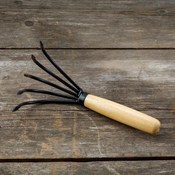 Ninja Claw | Hudson Valley Seed Company