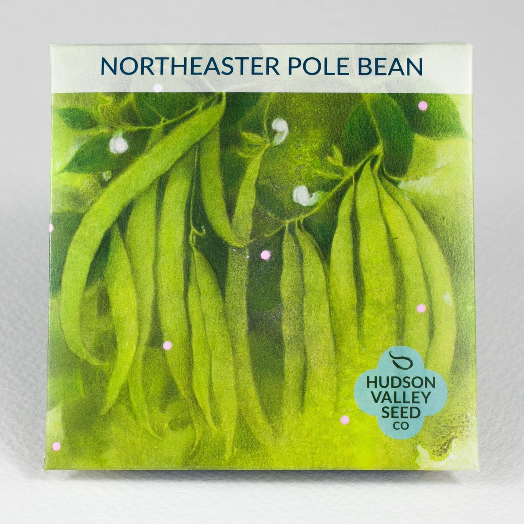garden of eden pole bean seeds Northeaster Pole Bean Organic Seeds