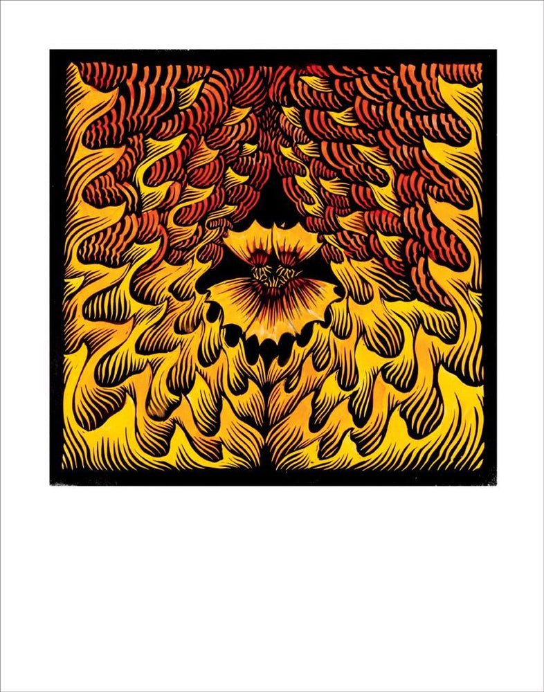 Phoenix Nasturtium Fine Art Print vendor-unknown