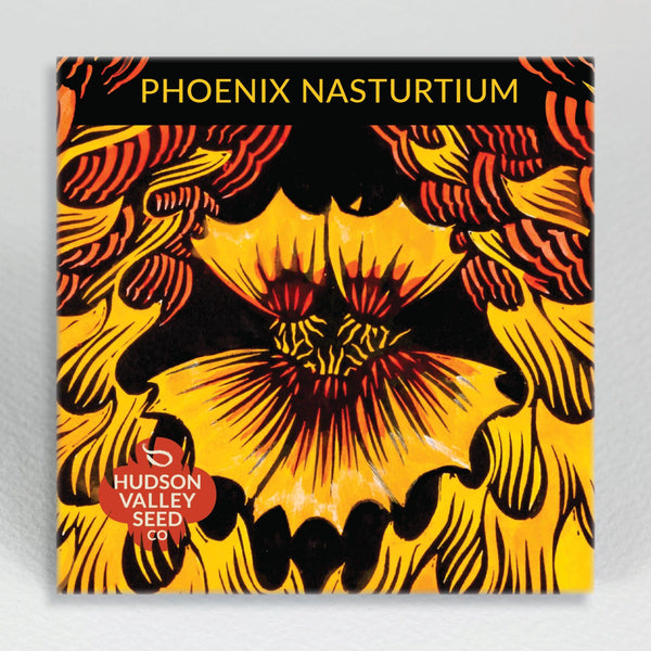 Phoenix Nasturtium vendor-unknown