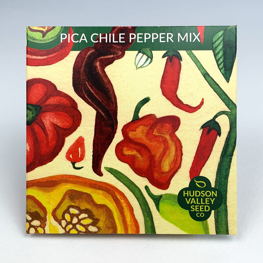 Pica Chile Mix vendor-unknown