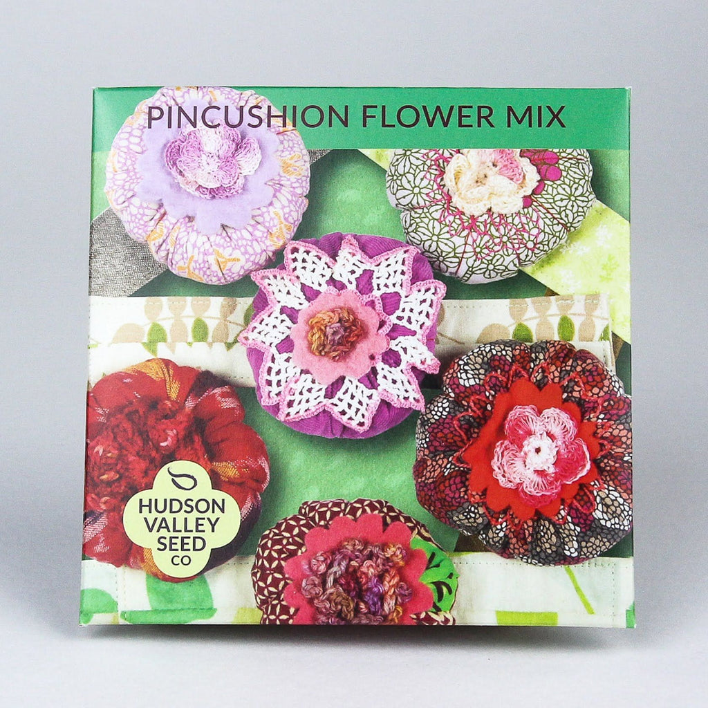 Pincushion Flower Mix Seeds – Hudson Valley Seed Company