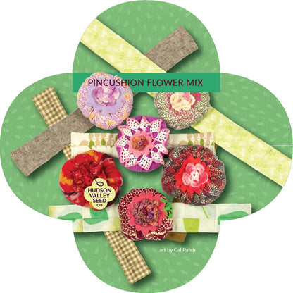 pincushion flower seed Pincushion Flower Mix