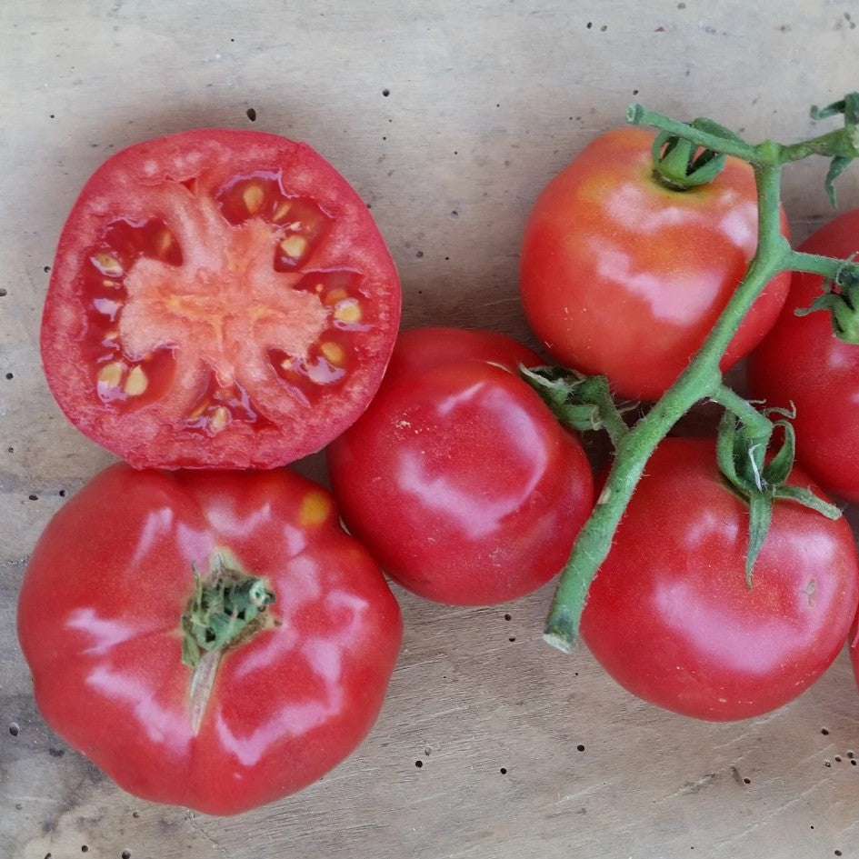 Plate de Haiti Tomato vendor-unknown