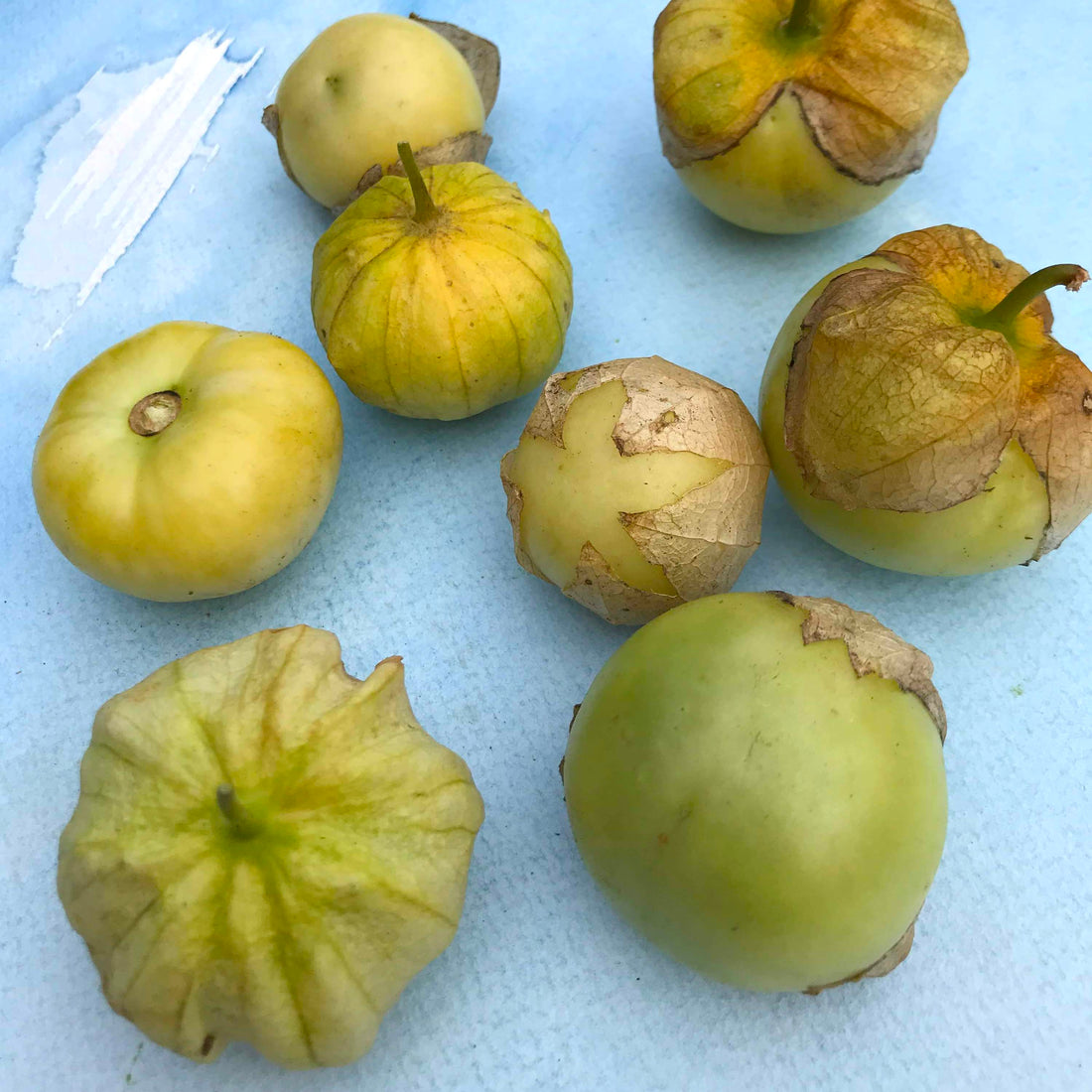 Puebla Verde Tomatillo