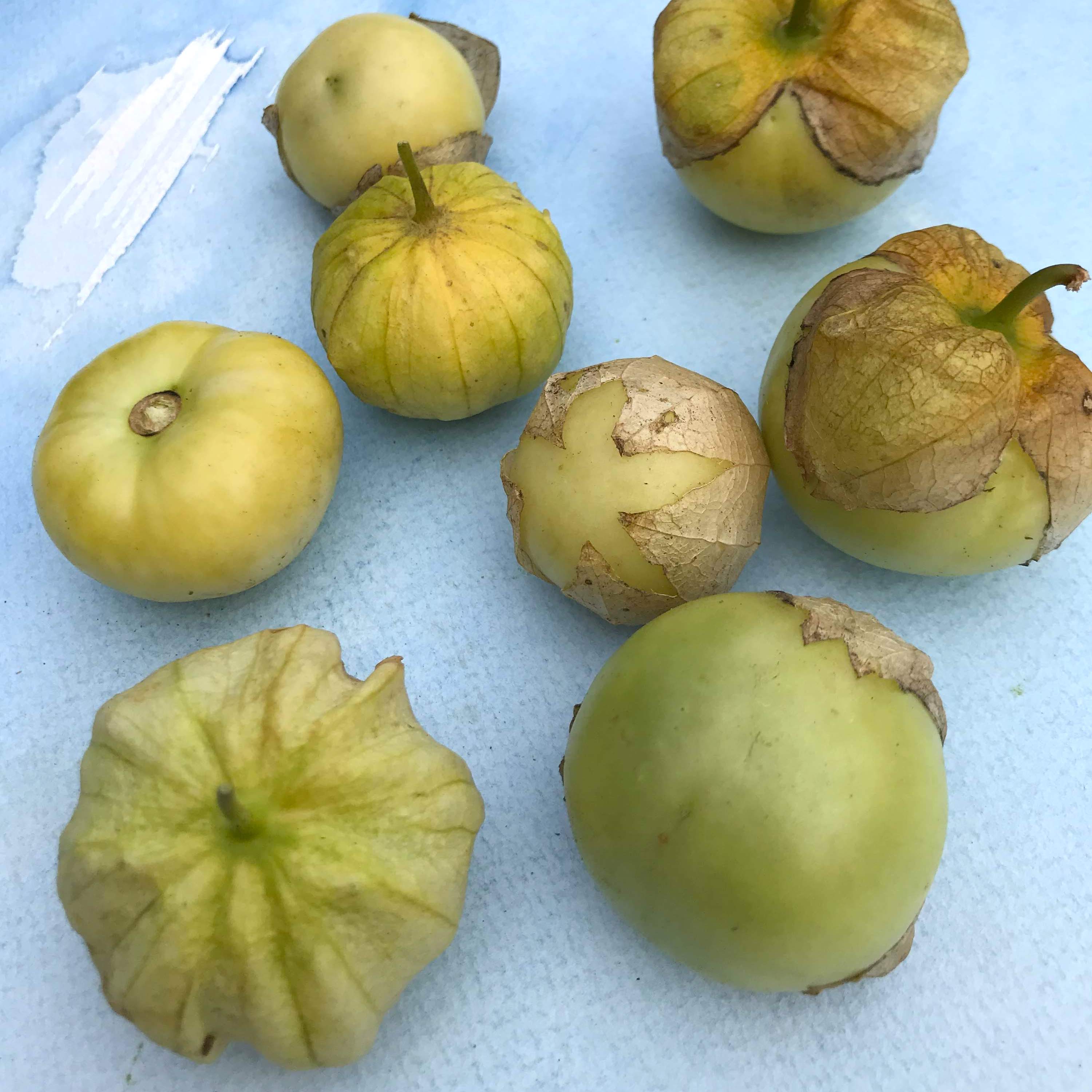 Puebla Verde Tomatillo