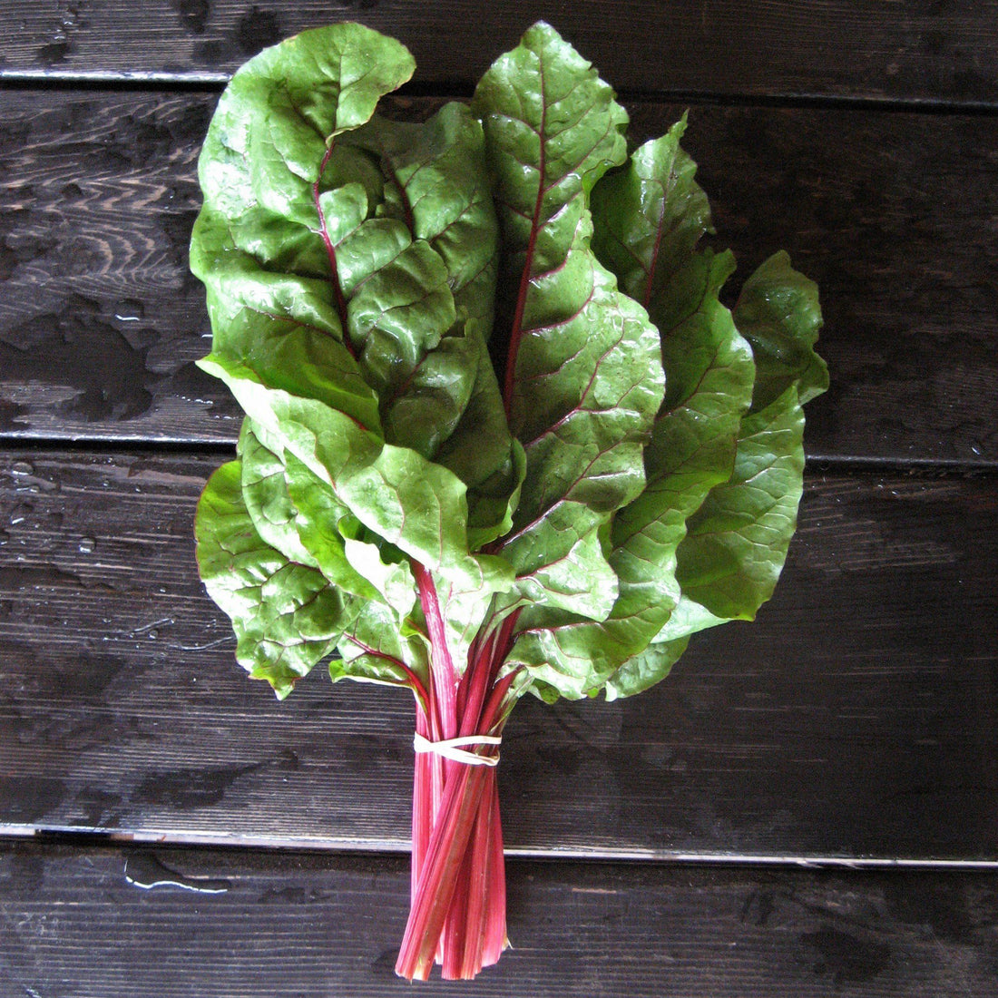 Rhubarb Chard vendor-unknown