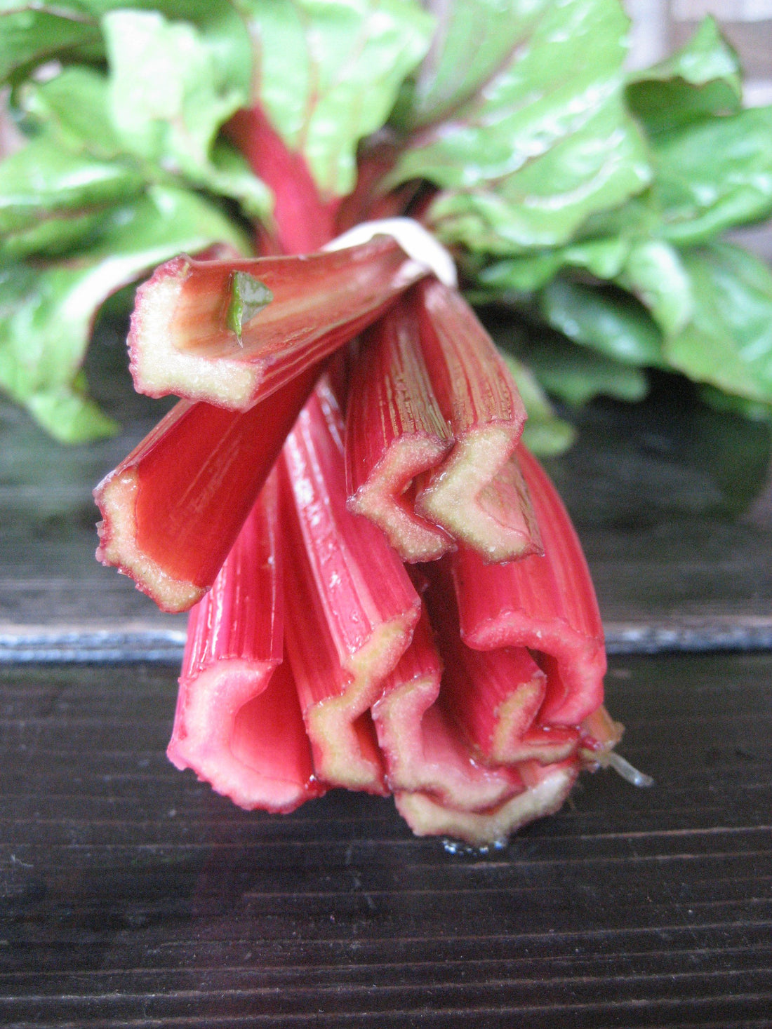 Rhubarb Chard vendor-unknown