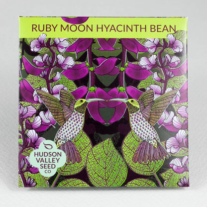 hyacinth flower seed pods Ruby Moon Hyacinth Bean