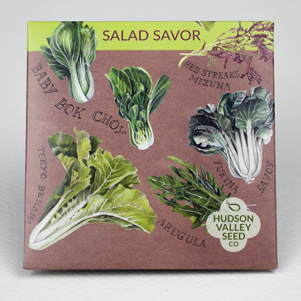 Salad Savor Mix vendor-unknown