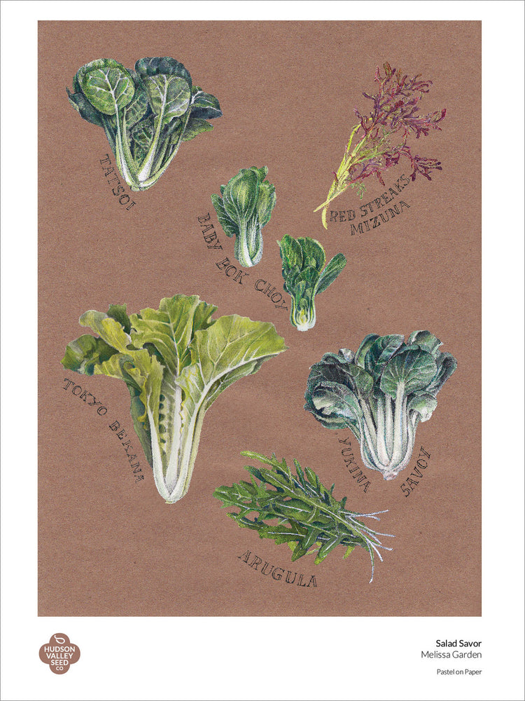 Salad Savor Mix Fine Art Poster