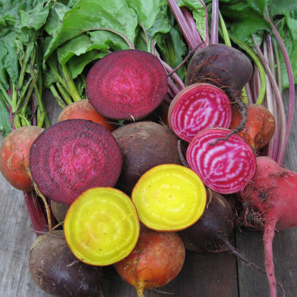 Brilliant Beet Blend