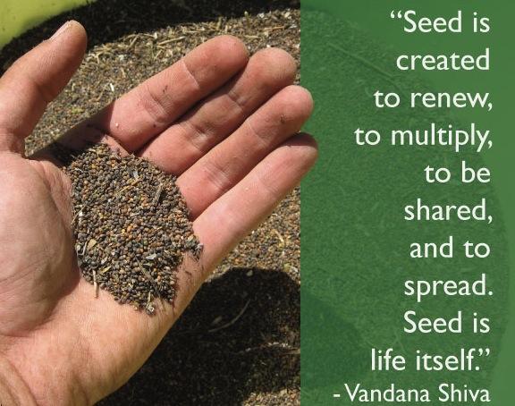 Sharing the Art of Seed Pack 2025