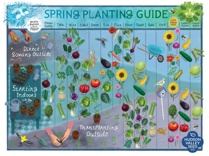 southern california seed planting guide Spring Planting Guide Poster