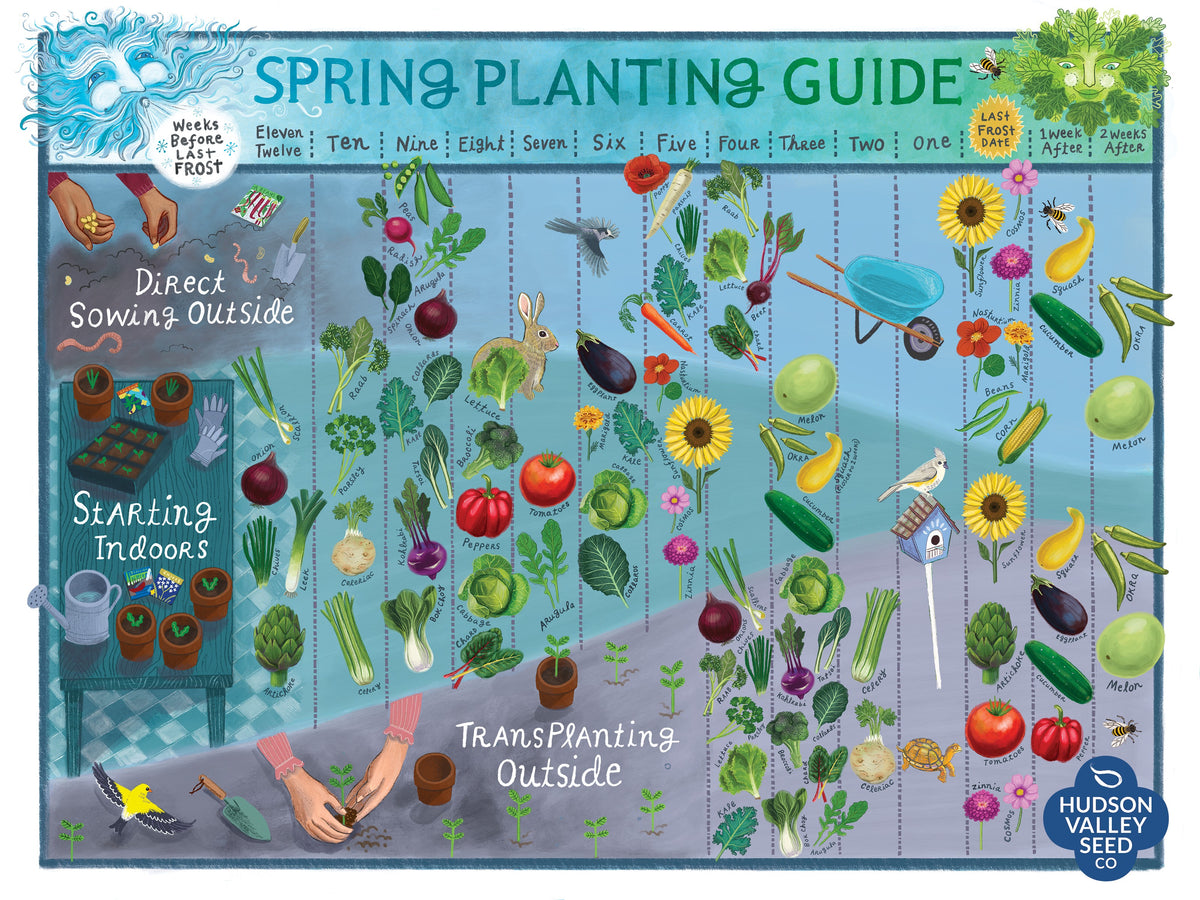 Spring Planting Guide Poster – Hudson Valley Seed Company