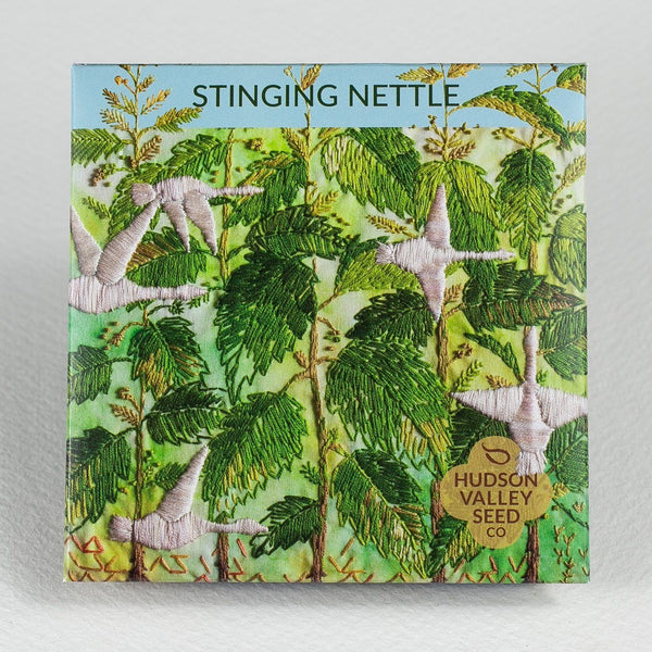 Stinging Nettle vendor-unknown