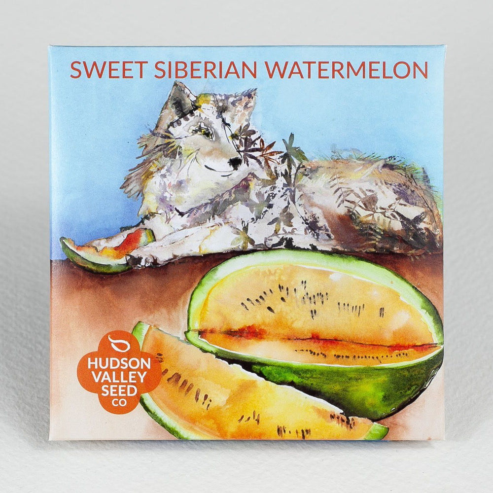 Sweet Siberian Watermelon vendor-unknown