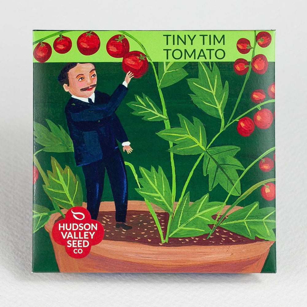 Tiny Tim Tomato vendor-unknown
