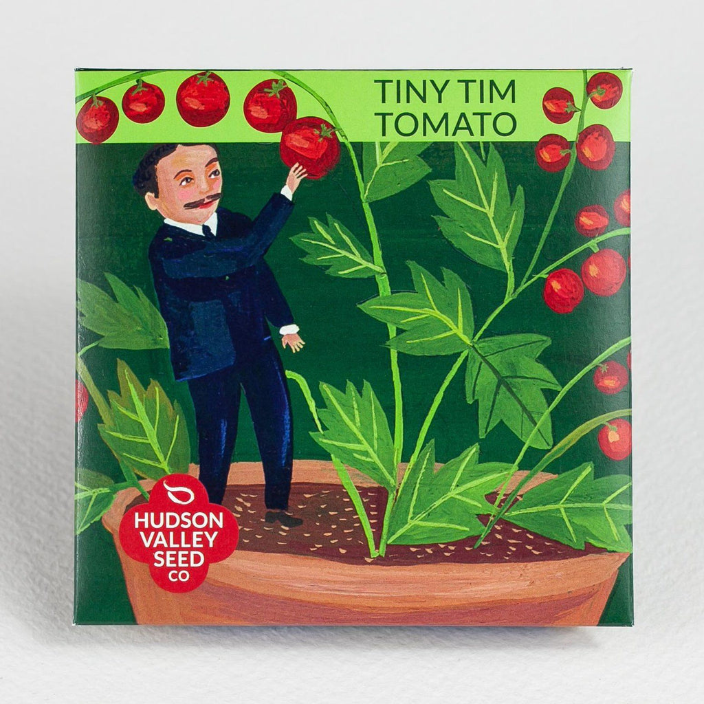 Tiny Tim Tomato Organic Seeds Hudson Valley Seed Company Tiny tim tomato organic seeds hudson valley seed company