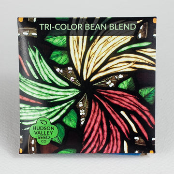 Tri-Color Bean Blend Organic Seeds – Hudson Valley Seed Company