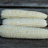 Tuxana Sweet Corn vendor-unknown