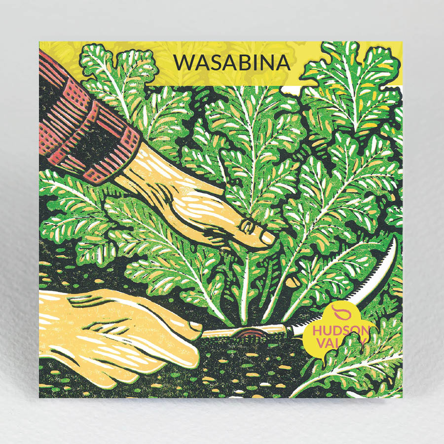 Wasabina: Wasabi Greens