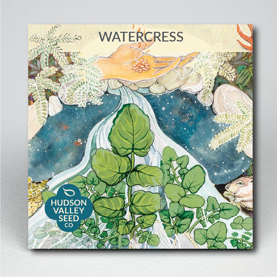 Asian Greens Hudson Valley Seed Company