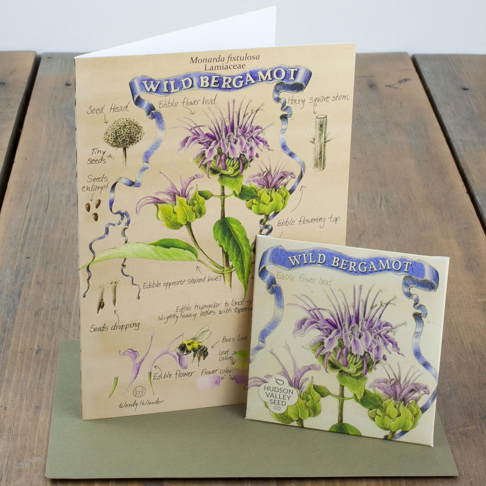 Wild Bergamot Art Pack and Greeting Card vendor-unknown