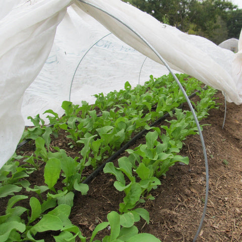 Wire Hoops, Row Cover Hoops