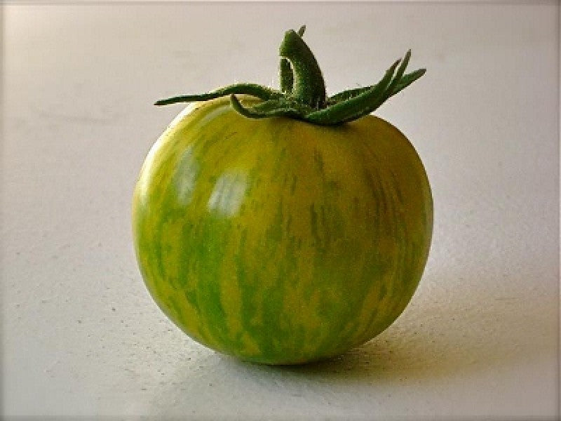 Green Zebra Tomato Seedlings