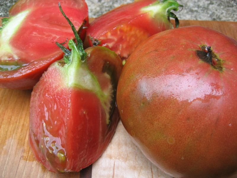 Cherokee Purple Tomato Seedlings